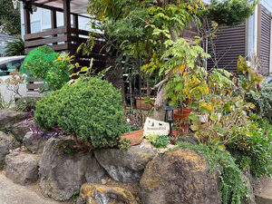 {{brizy_dc_image_alt imageSrc=